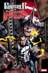 Punisher vs. Spider-Man #3