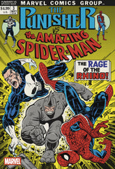 Punisher vs. Spider-Man #3 Erik ...