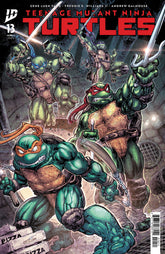 Teenage Mutant Ninja Turtles #13...