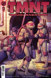 Teenage Mutant Ninja Turtles: Jo...