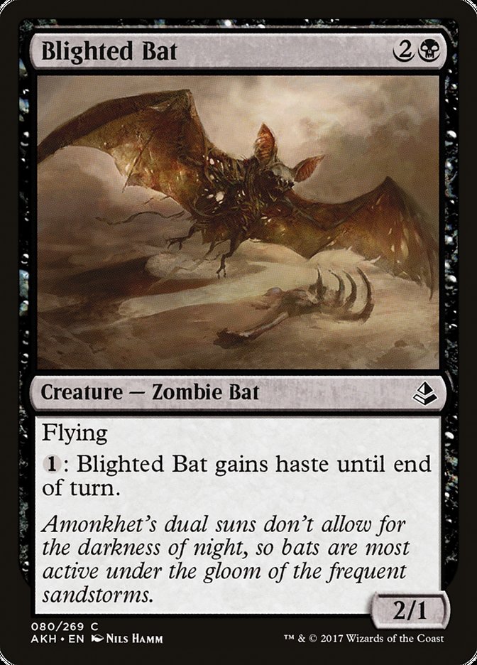 Blighted Bat Amonkhet #080 | Magic! The Gathering Singles