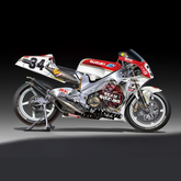 Suzuki RGV500 XR79 1993 World Ch...