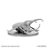 
Giant Rhinoceros Beetle Pathfin...