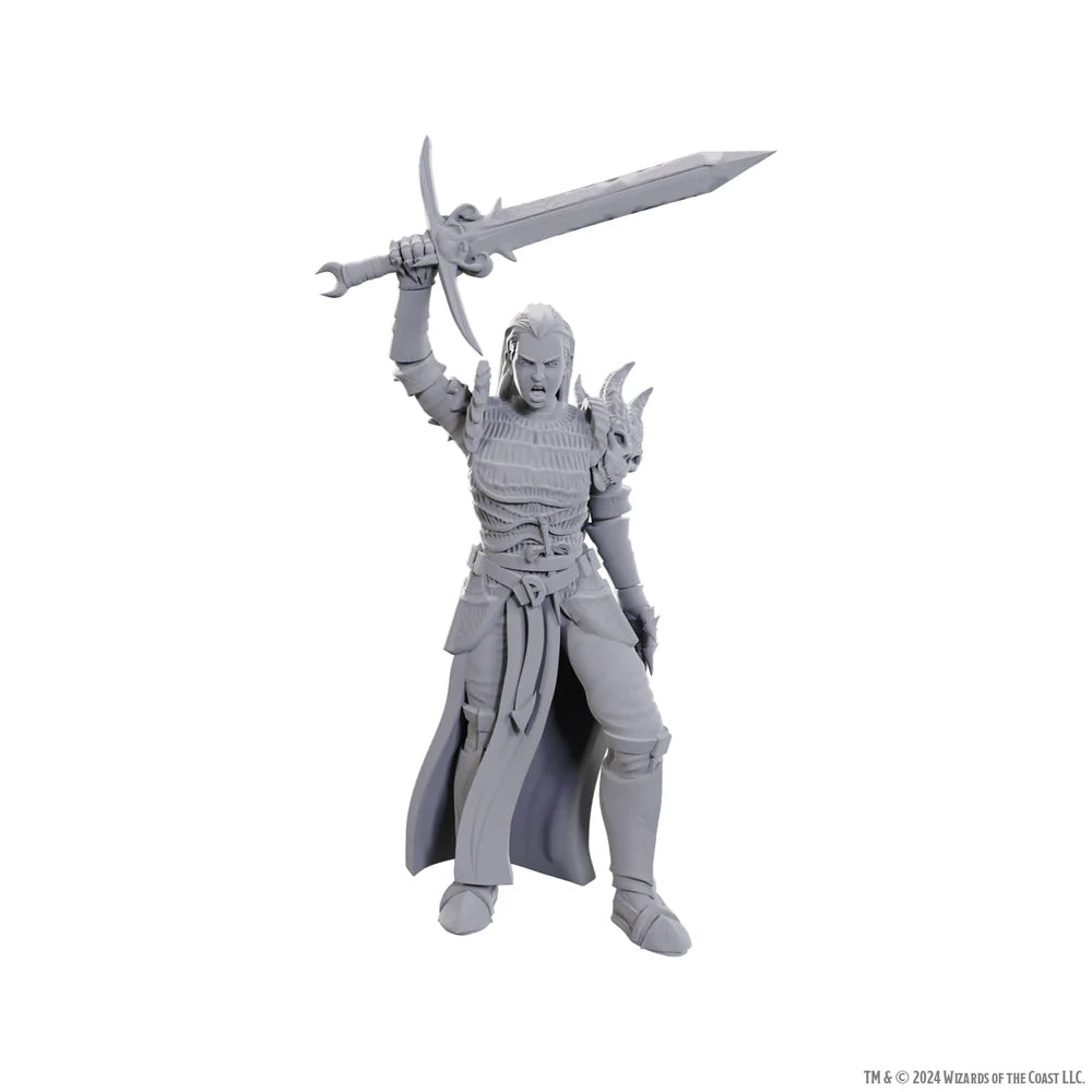 Blackguard Nolzur's Fantasy RPG Miniatures