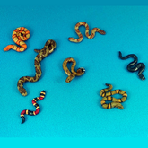 Snakes 28mm Metal Miniatures Dea...