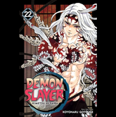 Demon Slayer Volume 22 manga boo...