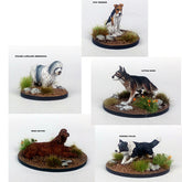 A Kennel of Dogs Dead Man's ...