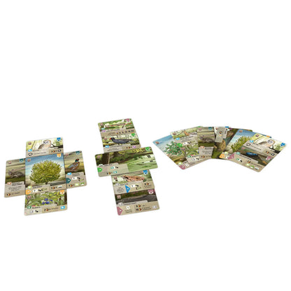 Forest Shuffle Dartmoor Box Contents