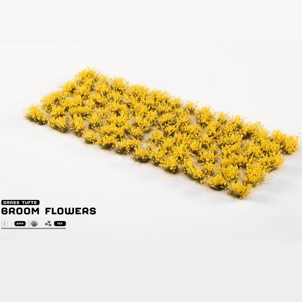 Gamers Grass Broom Flowers Sheet of yellow broom flowers on a white background