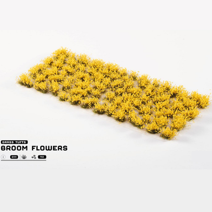 Gamers Grass Broom Flowers Sheet of yellow broom flowers on a white background