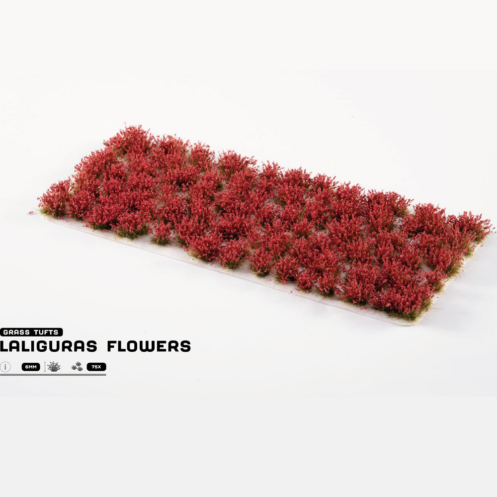 Gamers Grass Laliguras Flowers. Red flowers arranged in a rectangular pattern on a white background