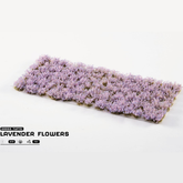 Gamers Grass Lavender Flowers. S...
