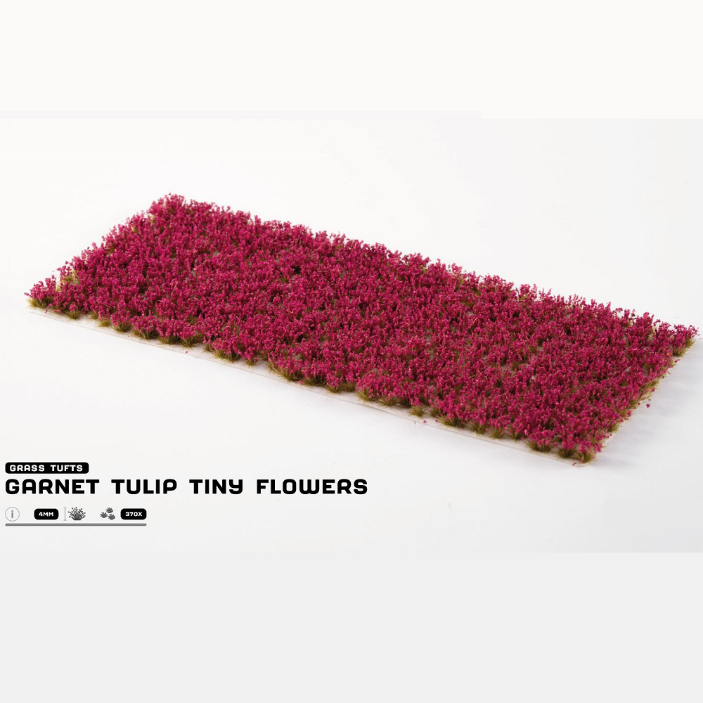 Gamers Grass Garnet Tulip Tiny Flowers. Row of garnet tulip tiny flowers on a white background