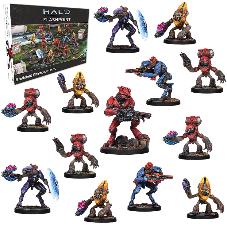 Halo: Flashpoint - Banished Reinforcements