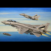 HobbyBoss F-14D Super Tomcat 1:7...