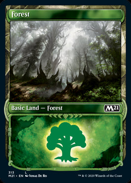Forest Basic Land #313 MTG Core ...
