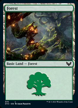 Forest V.2 #375 MTG Strixhaven B...
