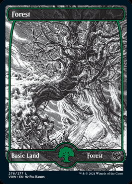 Full Art Forest V.1 #276 MTG Cri...