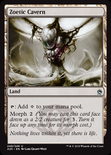 Zoetic Cavern | Magic! The Gathe...