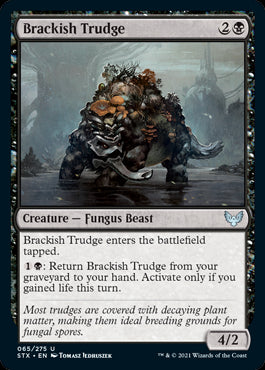 Brackish Trudge #065 MTG Strixha...