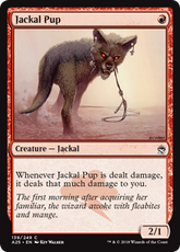 Jackal Pup | Magic! The Gatherin...