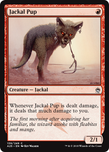 Jackal Pup | Magic! The Gathering Masters 25 #139