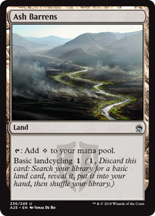 Ash Barrens | Magic! The Gathering Masters 25 #236