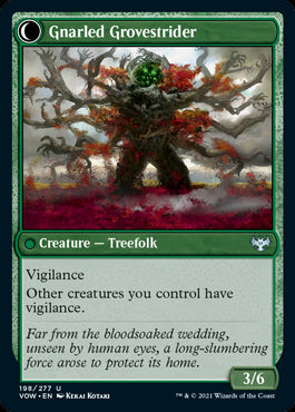 Dormant Grove // Gnarled Grovest...