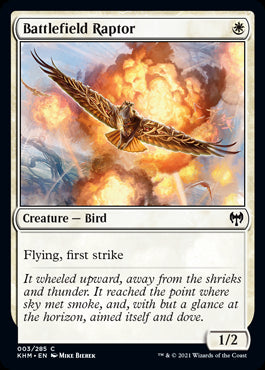 Battlefield Raptor #003 MTG Kaldheim Single