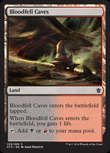 Bloodfell Caves #229 MTG Khans O...