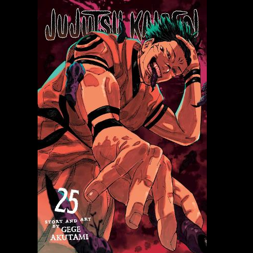 Jujutsu Kaisen, Vol. 25. Sukuna schemes, Itadori fights to revive Gojo, and the strongest sorcerers clash in this thrilling Teen+ fantasy horror manga
