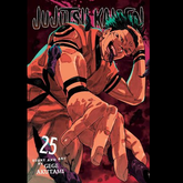 Jujutsu Kaisen, Vol. 25. Sukuna ...