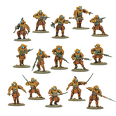 Twelve painted fantasy miniature...