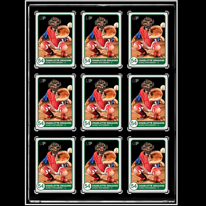 9-Card Black Border ONE-TOUCH Magnetic Card Holder - Ultra Pro