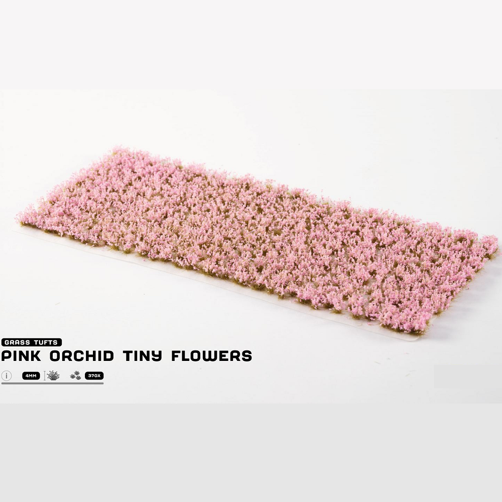 Gamers Grass Pink Orchid Tiny Flowers. Pink orchid tiny flowers grass tuft on a white background