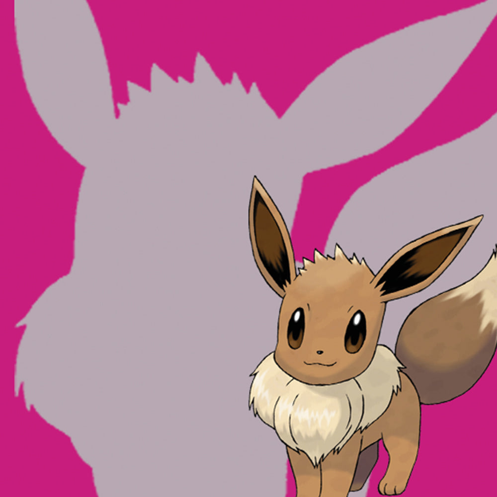 Pokémon TCG Eevee 9 Pocket Binder Cover Art