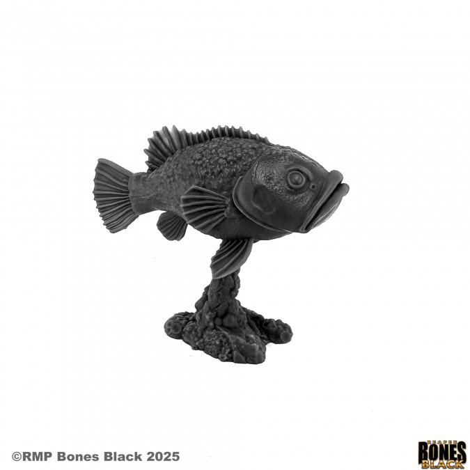 Black fish figurine on a white background with 'RMP Bones Black' branding. Reaper Miniatures Dire Grouper Bones Black 25mm heroic scale unpainted miniature