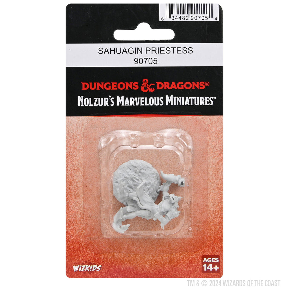 Dungeons & Dragons RPG Minis