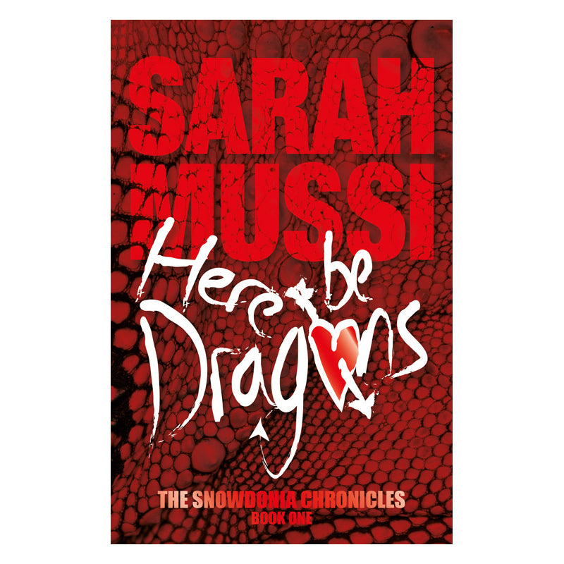 Here Be Dragons The Snowdonia Chronicles 1 - Paperback