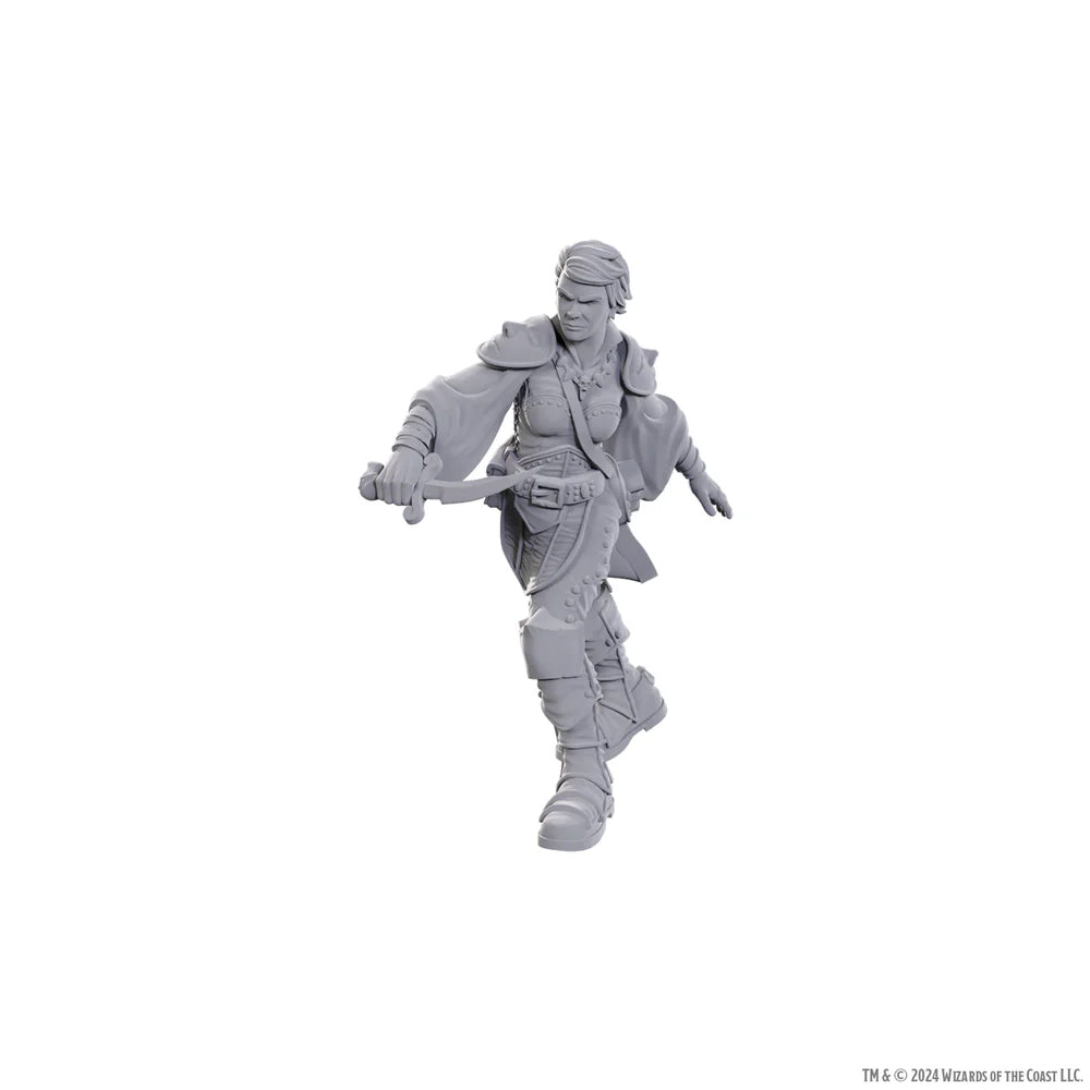 Swashbuckler Nolzur's Fantasy RPG Miniatures