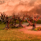 Dried trees with twisted branche...