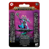 Tzaangor Shaman - Disciples of T...