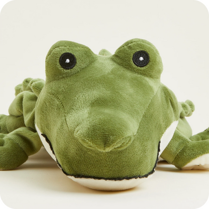 Green plush toy frog on a light beige background. Warmies Alligator Microwavable Lavender Plush Toy