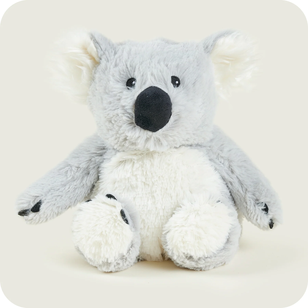 Plush koala toy on a white background. Warmies Plush Koala  Microwavable Plushies