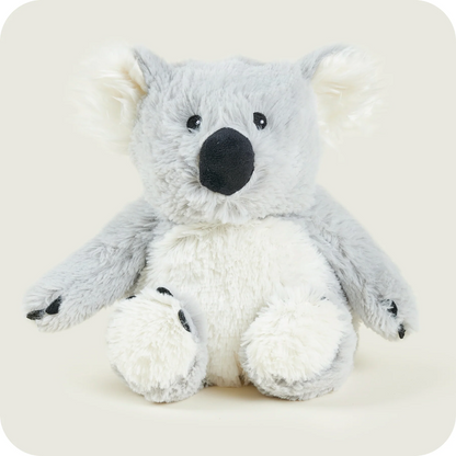Plush koala toy on a white background. Warmies Plush Koala  Microwavable Plushies