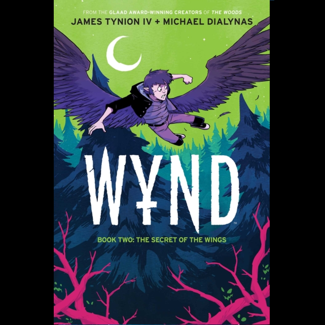 Wynd Book Two: The Secret of the Wings by James Tynion IV with illustrations by Michael Dialynas.  A fantasy epic about a boy who must embrace the magic within himself to save his friends but this is in a world where magical heritage is punishable by death. When Wynd is captured and taken to the Faeries’ hidden capital deep in the Weird Woods, his friends must rescue him before he’s put on trial… and Basil, Titus, and Ash unknowingly lead an even greater threat to the Faerie City – Vampyres