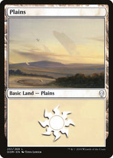 Plains Dominaria #251