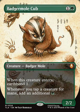 Borderless Field Notes Badgermol...