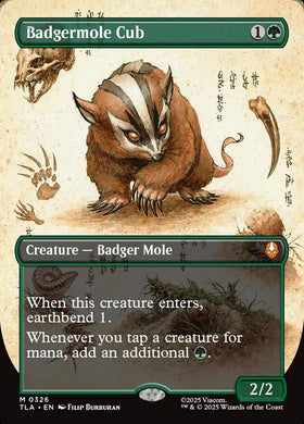 Borderless Field Notes Badgermol...