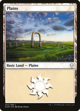 Plains Dominaria #253